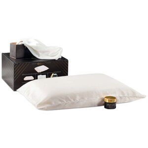 Sharper Image Night Spa Revitalizing Sleep System For Your Skin 4-Pieces Pillow